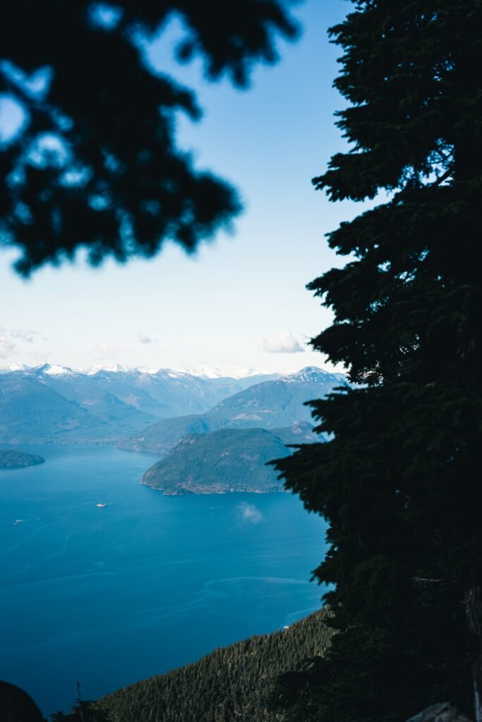 ali kazal k8qfs5w5wjg unsplash