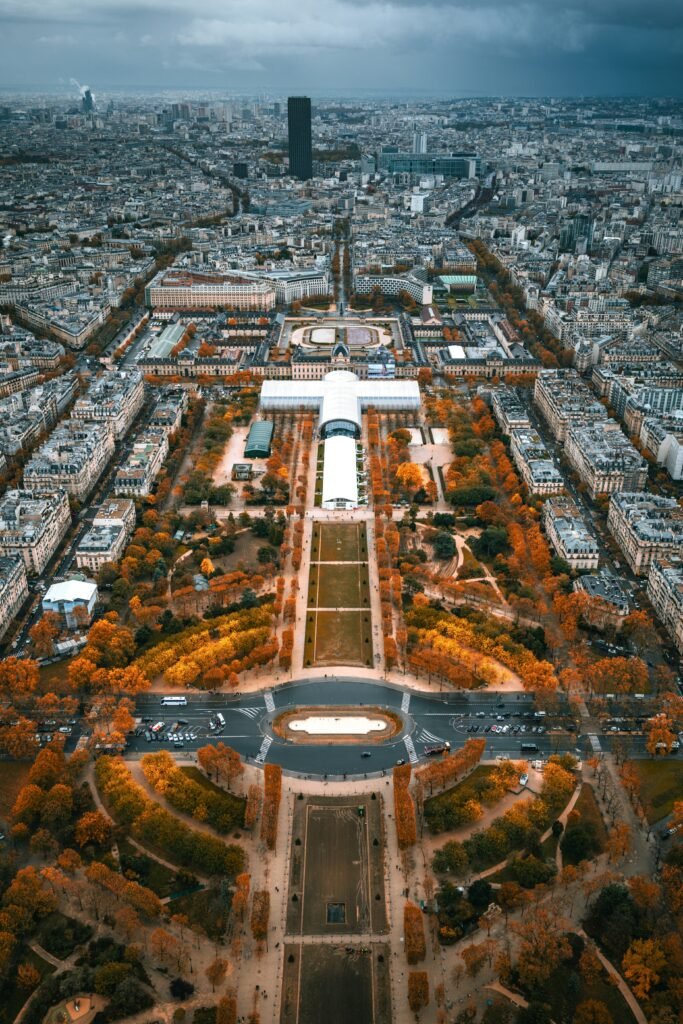 clovis wood l6fvxenexdm unsplash