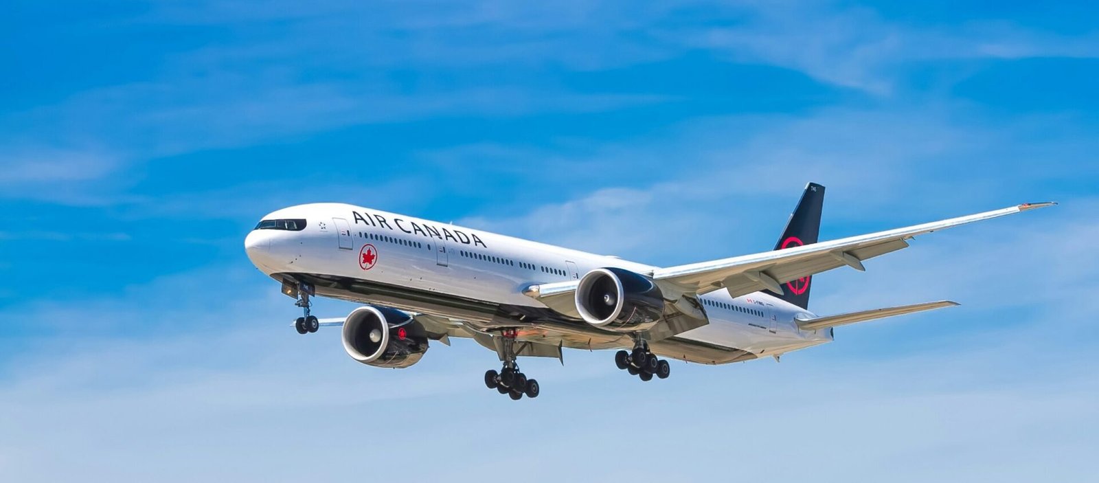 Cropped John Mcarthur X MOr6oa4 K Unsplash Scaled 1